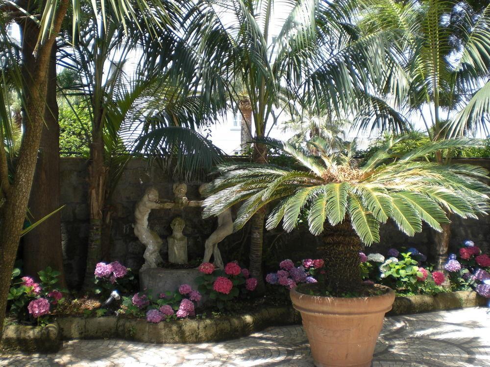 Villa Dei D'Armiento Sant'Angelo  Esterno foto