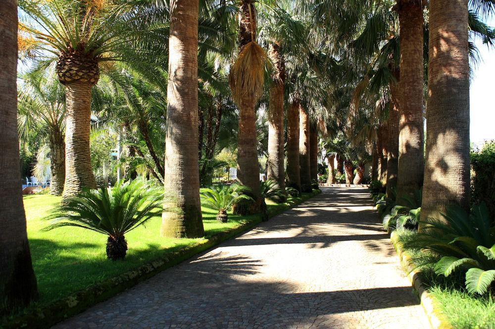 Villa Dei D'Armiento Sant'Angelo  Esterno foto